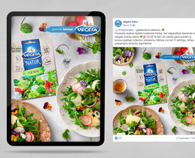Facebook + Instagram + Tiktok + Linkedin / Ydyllic / Darbų pavyzdys ID 2082830