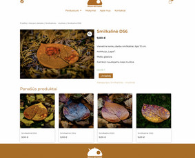 Bluejuice Hostingas, Svetainių kūrimas, administravimas, Seo - El. parduotuvių kūrimas - 3 El. parduotuvių kūrimas - Bluejuice Hostingas, Svetainių kūrimas, administravimas, Seo - 3