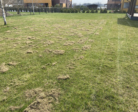 Laistymo sistemos, įrengimas - Laistymo sistemos įrengimas - 4