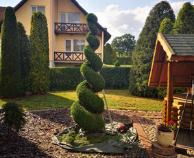 Vaismedžių genėjimas, gyvatvorių karpymas / Audrius / Darbų pavyzdys ID 2095408