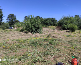 Kelmų frezavimas, naikinimas, šalinimas / Audrius / Darbų pavyzdys ID 2098768