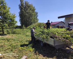 Kelmų frezavimas, naikinimas, šalinimas - Apleistų sklypų tvarkymas - 2 Apleistų sklypų tvarkymas - Kelmų frezavimas, naikinimas, šalinimas - 2