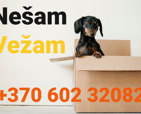 Perkraustymo paslaugos Vilniuje - Krovėjų paslaugos - 1 Krovėjų paslaugos - Perkraustymo paslaugos Vilniuje - 1