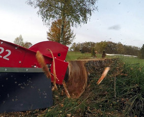Kelmų frezavimas, naikinimas, šalinimas / Audrius / Darbų pavyzdys ID 2108258