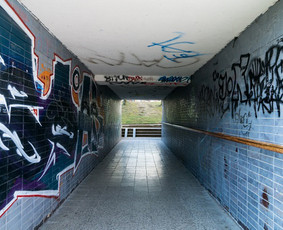 Fasadų, trinkelių, stogų plovimas, dažymas / Geltonieji ratai / Darbų pavyzdys ID 2108510