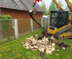 Apleistų sklypų tvarkymas - Kelmų naikinimas, frezavimas - 1 Kelmų naikinimas, frezavimas - Apleistų sklypų tvarkymas - 1