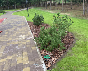 Laistymo sistemos įrengimas / Simas Stanišauskas / Darbų pavyzdys ID 2117898