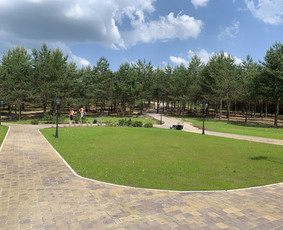 Laistymo sistemos įrengimas / Simas Stanišauskas / Darbų pavyzdys ID 2117902