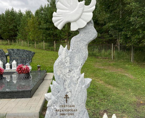 Antkapiniai meniški paminklai / Raimundas Dzimidavicius / Darbų pavyzdys ID 2120456