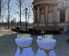 Šampano staliukas - Purslų istorijos / Purslų istorijos / Darbų pavyzdys ID 2121400