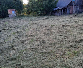 Žolės pjovimas, core aeravimas, skarifikavimas ir kt. / Vytenis / Darbų pavyzdys ID 2122992