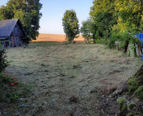 Žolės pjovimas ir kiti aplinkos tvarkymo darbai. - Apleistų sklypų tvarkymas - 3 Apleistų sklypų tvarkymas - Žolės pjovimas ir kiti aplinkos tvarkymo darbai. - 3