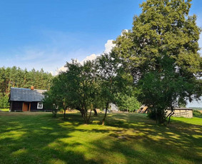Žolės pjovimas, core aeravimas, skarifikavimas ir kt. / Vytenis / Darbų pavyzdys ID 2127906