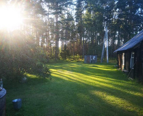 Žolės pjovimas, core aeravimas, skarifikavimas ir kt. / Vytenis / Darbų pavyzdys ID 2127908