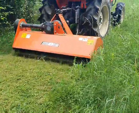 Medžių Pjovimas. Šakų Išvežimas, Kelmų Frezavimas. / UAB Danesa ir partneriai / Darbų pavyzdys ID 2128842