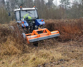 Medžių Pjovimas. Šakų Išvežimas, Kelmų Frezavimas. / UAB Danesa ir partneriai / Darbų pavyzdys ID 2128844