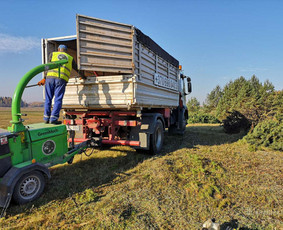 Medžių Pjovimas. Šakų Išvežimas, Kelmų Frezavimas. / UAB Danesa ir partneriai / Darbų pavyzdys ID 2128882