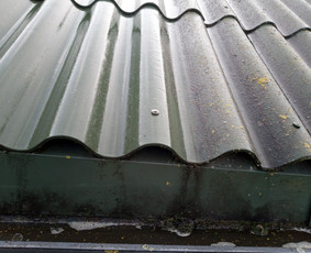 Stogų ir lietvamzdžių valymas - Stogo dazymas,fasado plovimas,trinkelių plovimas - 1