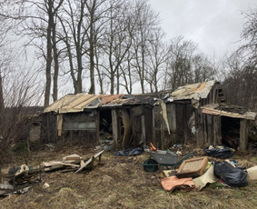 Statybiniu šiukšliu isvežimas / Domantas / Darbų pavyzdys ID 2132046