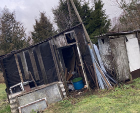 Statybiniu šiukšliu isvežimas / Domantas / Darbų pavyzdys ID 2132050