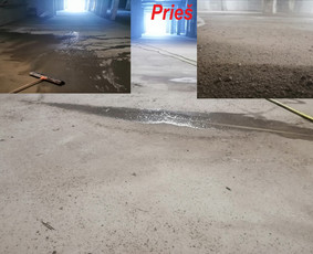 Baldų valymas, kilimų ir kil. dangų valymui. / MB"Andaila" / Darbų pavyzdys ID 2134456