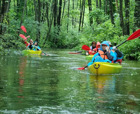 Baidarių nuoma
