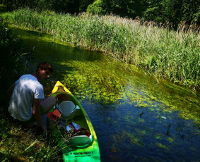 Baidarių nuoma