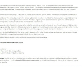Linkedin turinys, Web, Seo, naujienlaiškių tekstai. 8+ m. / Raminta Dobilienė / Darbų pavyzdys ID 2049388