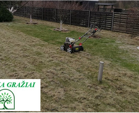 Aplinkos tvarkymas, želdinių formavimas ir kiti darbai / Aplinka gražiai / Darbų pavyzdys ID 2144533