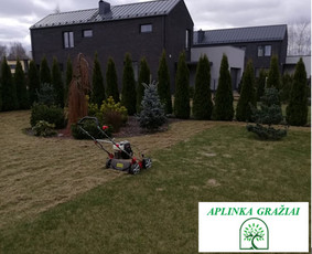 Aplinkos tvarkymas, želdinių formavimas ir kiti darbai / Aplinka gražiai / Darbų pavyzdys ID 2144535