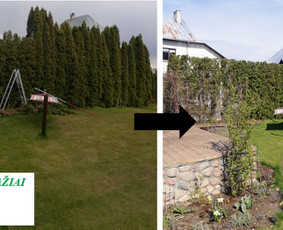 Aplinkos tvarkymas, želdinių formavimas ir kiti darbai - Šakų išvežimas - 1 Šakų išvežimas - Aplinkos tvarkymas, želdinių formavimas ir kiti darbai - 1