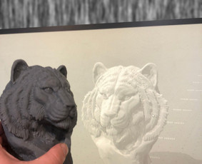 3d spausdinimas,skenavimas, prototipų gamyba ir modeliavimas / 3D FACTORY / Darbų pavyzdys ID 2144929