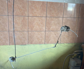 Elektriko Paslaugos / Paulius/Vytas / Darbų pavyzdys ID 2149519