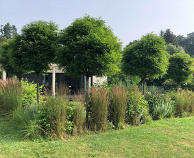 Kraštovaizdžio projektavimas - Aplinkos tvarkymas, apželdinimas - 4 Aplinkos tvarkymas, apželdinimas - Kraštovaizdžio projektavimas - 4