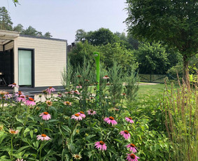 Kraštovaizdžio projektavimas - Aplinkos tvarkymas, apželdinimas - 1 Aplinkos tvarkymas, apželdinimas - Kraštovaizdžio projektavimas - 1