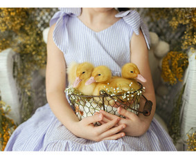Fotografė Kaune / Simona Tiškė / Darbų pavyzdys ID 2152953