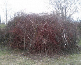 Šakų išvežimas - Šiukšlių išvežimo paslaugos Vilniuje. - 1