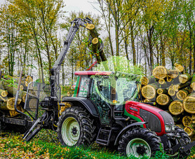 Apželdinimas, Sodinimas, Įrengimas, Priežiūra, Gerbūvis - Šakų išvežimas - 4 Šakų išvežimas - Apželdinimas, Sodinimas, Įrengimas, Priežiūra, Gerbūvis - 4