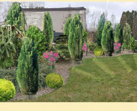 Vizualus pasaulis / Gitana Tomaševičė / Darbų pavyzdys ID 2166387