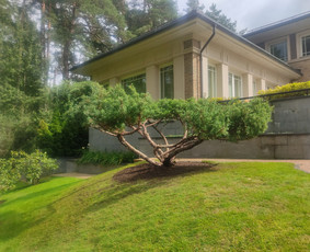 Vaismedžių sodinimas ir priežiūra - Vejos skarifikavimas,apželdinimo darbai - 2