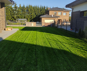 Vaismedžių sodinimas ir priežiūra - Vejos skarifikavimas,apželdinimo darbai - 1