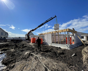 Krovėjų paslaugos - Fiskaras krovinių pervežimas kranas manipuliatorius tralas - 3