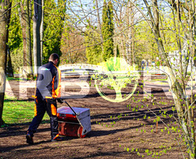 Vejos įrengimas: sėjimas, ruloninė veja - Žolės Pjovimas / Teritorijų įrengimas ir priežiūra - 3