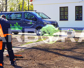 Vejos įrengimas: sėjimas, ruloninė veja - Žolės Pjovimas / Teritorijų įrengimas ir priežiūra - 2