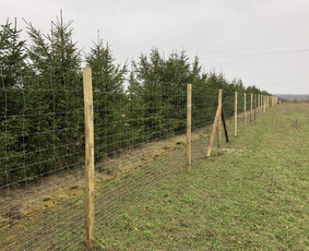 Tinklinės tvoros - Montuojame ir parduodame tinklinę tvorą geriausiom kainom - 4