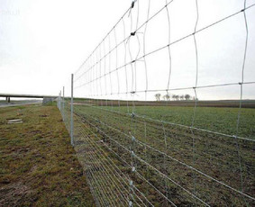 Tinklinės tvoros - Montuojame ir parduodame tinklinę tvorą geriausiom kainom - 1