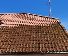 Stogų, trinkelių, fasadų plovimas, dažymas / MB / Darbų pavyzdys ID 2188813