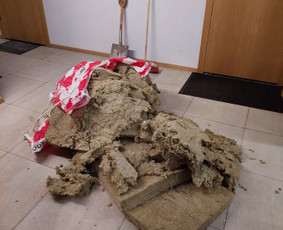 Šiukšliu išvežimas / Įvairių šiukšlių išvežimas / Darbų pavyzdys ID 2189473