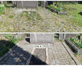 Kapų priežiūra ir tvarkymas visoje Lietuvoje – Eram Service / Eram service / Darbų pavyzdys ID 2189593