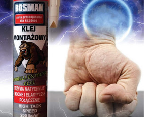 Bosman Montavimo putos, silikonai, klijai, hermetikas, / Bosman / Darbų pavyzdys ID 2189699